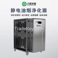 Commercial kitchen electrostatic fume purifier