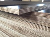 film faced plywood/phenolic board