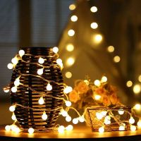 LED Frosted ball String Light