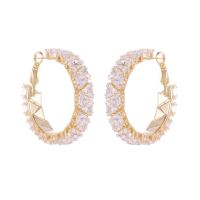 Light Luxury Earrings