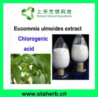Factory supply Chlorogenic acid, Eucommin leaf extract, Clean heat