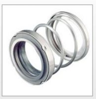 T21 mechanical seal