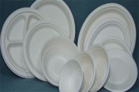 disposable paper plate,tableware