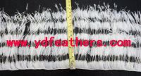 https://es.tradekey.com/product_view/2ply-Stripe-Burnt-Ostrich-Feather-Fringe-Sewn-On-String-9836668.html