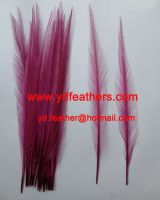 Burnt Ringneck Pheasant Tail Feather Dyed Pink from China