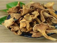 https://jp.tradekey.com/product_view/Chanterelles-Mushrooms-9546502.html