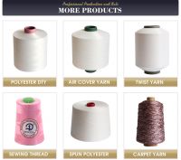 GRS Certificate Polyester Yarn Manufacturer 75 Denier SD Rw Dty 75d 36f Polyester DTY Yarn Draw Textured Yarn