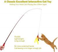 Interactive Cat Feather Toys, 2PCS Retractable Cat Wand Toy and 9PCS Squiggly Worm Feathers Teaser Refills, Cat Toys for Indoor Cats Kitten Play Chase Exercise