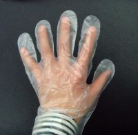 Disposable Waterproof PE Gloves