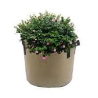 https://www.tradekey.com/product_view/3-Gallon-Tan-Color-Polyester-Plant-Nursery-Grow-Bag-With-Handle-For-Garden-Potato-Flower-Vegetable-Tree-10057246.html