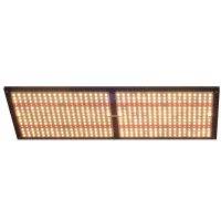 Hot Sale 240W Quantum Board LED Grow Light with Samsung Lm301h Chips and Meanwell Driver