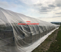 Agriculture anti insect net