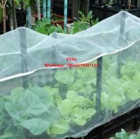Agriculture anti insect proof net