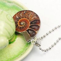 Natural  Ammonite Fossil With Druzy  Pendants