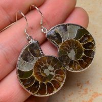 Natural  Ammonite Fossil With Druzy  Pendants