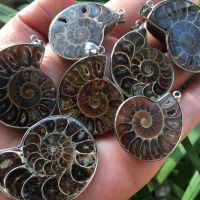 Natural  Ammonite Fossil With Druzy  Pendants