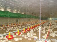 poultry equipment//ventilation system