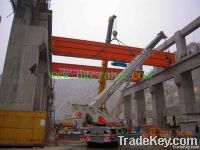 QD double girder bridge crane