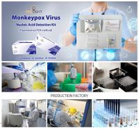 Monkeypox Virus antigen detection test kit