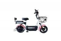 China Standard Electric Bicycle