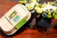 Biodegradable Compostable Disposable Sugarcane Bagasse Food Container, Biodegradable Food Tray, Compostable Food Box, Sugarcane Bagasse Cups, Compostable Compartment Boxes