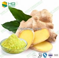 ginger powder extracts gingerols 1%-20%