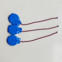 3v Cr2450 Lithium Button Cell Battery Cmos Bios Cr2450 Battery With Wire And Connector